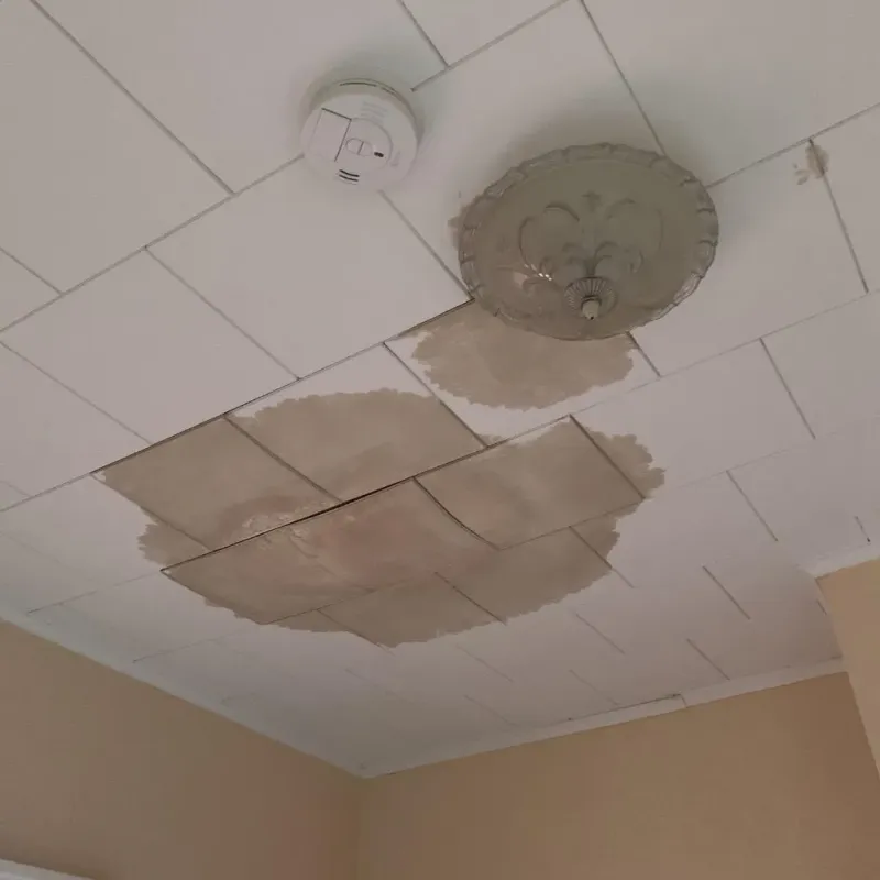 Ceiling Water Damage Repair in Central Waterford, CT