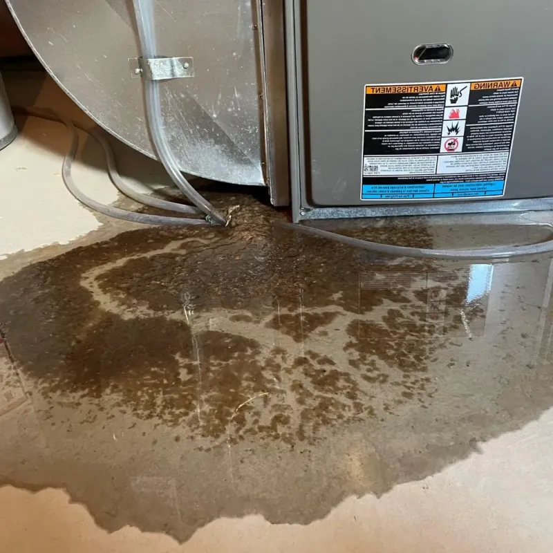 Pipe Burst and Leak Restoration in Central Waterford, CT