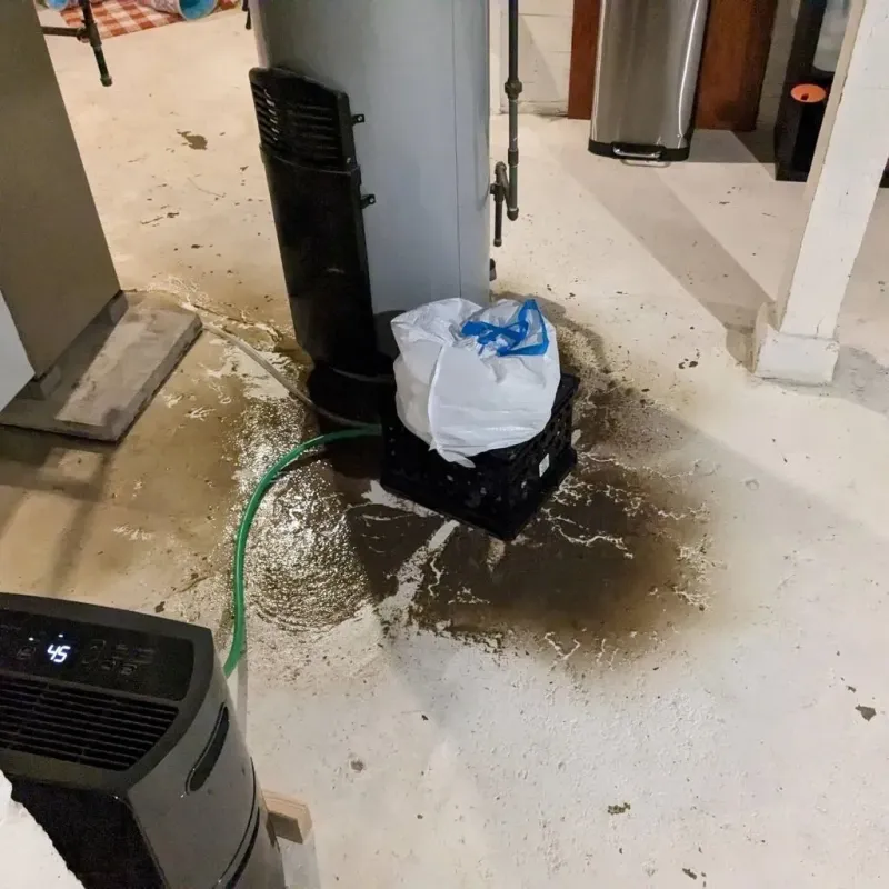 Sewage Backup Cleanup Service in Central Waterford, CT